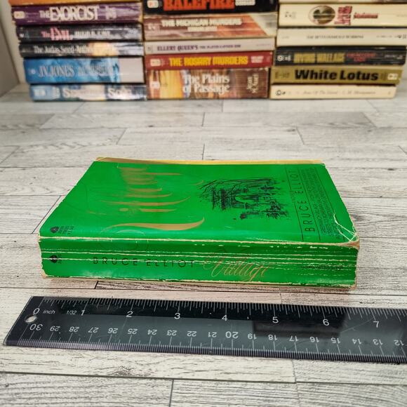 VILLAGE Bruce Elliot‎ 1982 First Avon Printing Paperback Historical Fiction - Picture 7 of 12